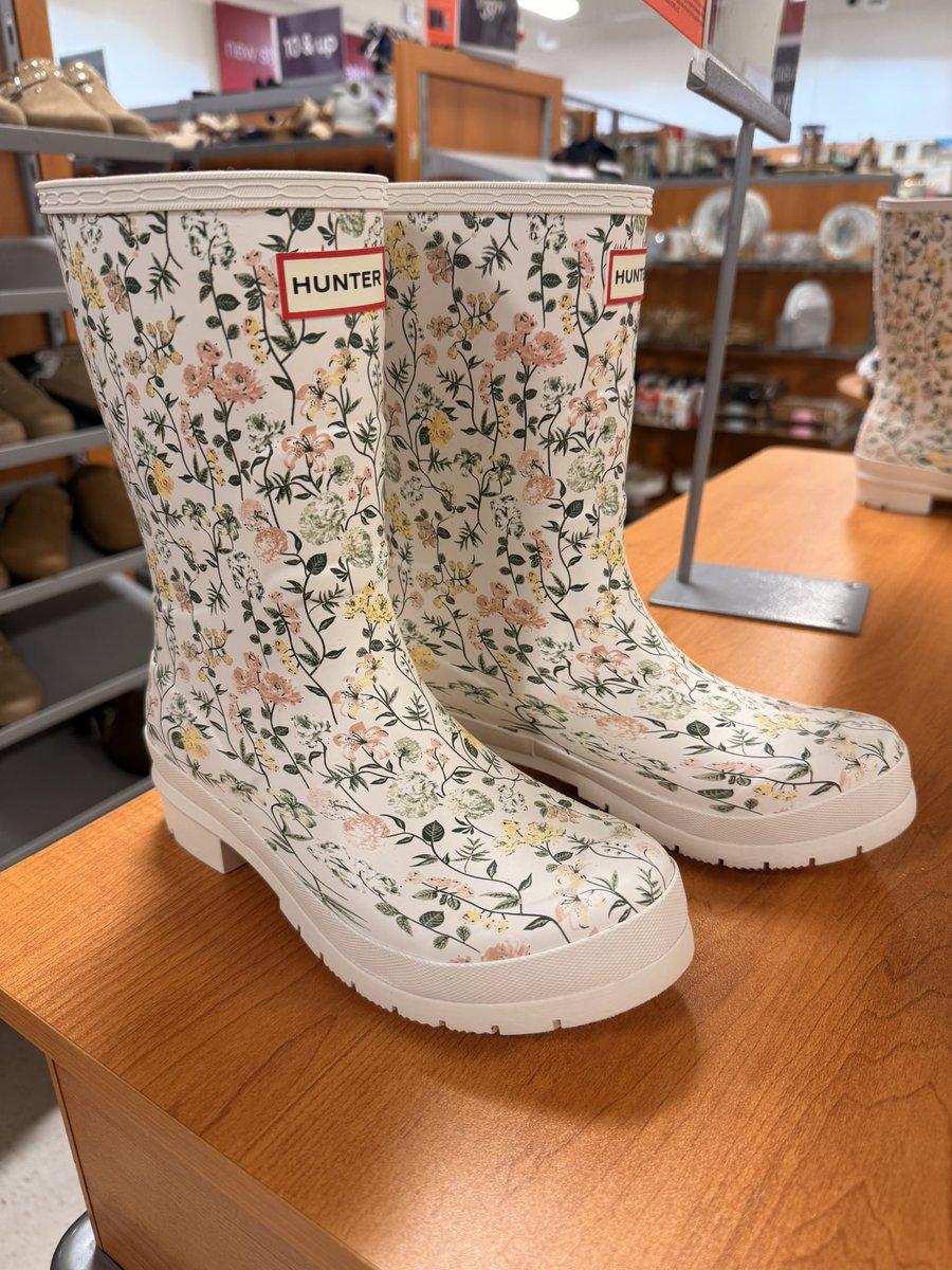 Blonde Musings 🇺🇸 tweet media