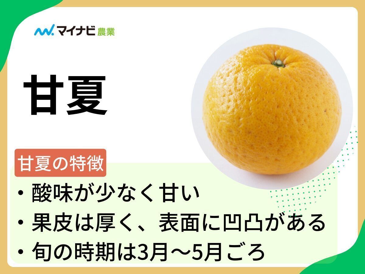 みかんノート (@mikanflavor1) / Posts / X