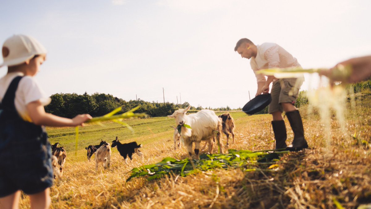 Trillium Mutual tweet media