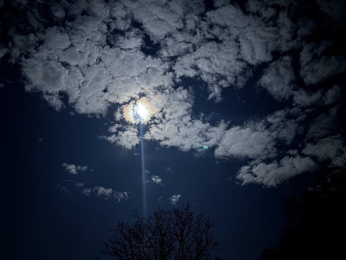 Ignore (@ignore1090445) on Twitter photo 