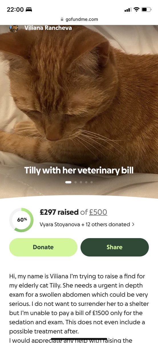 I can’t believe how fast we are doing it. Thank you everyone. gofund.me/021b3f95f