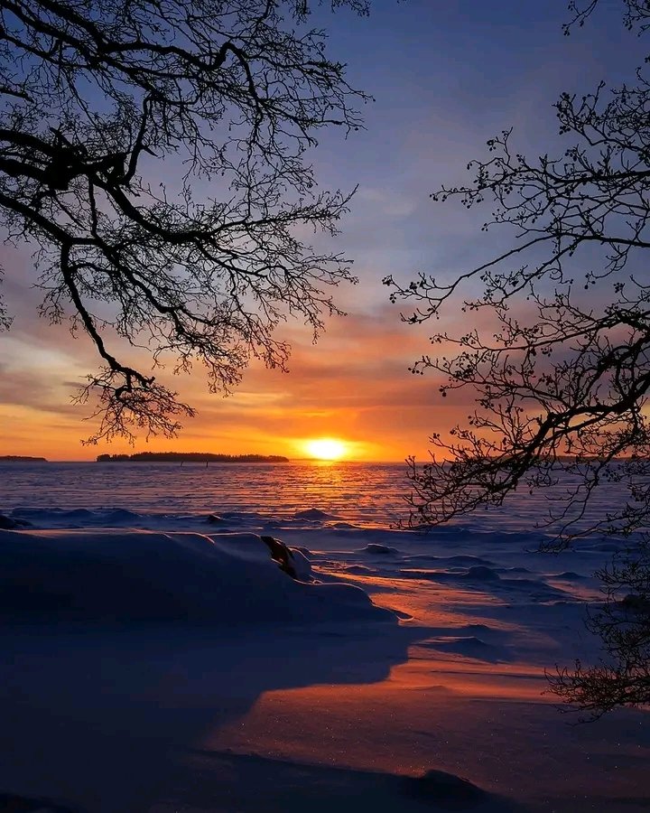 𝒥𝓊𝒶𝓃𝒞𝒶𝓇𝓁𝑜𝓈 🇨🇴 tweet media