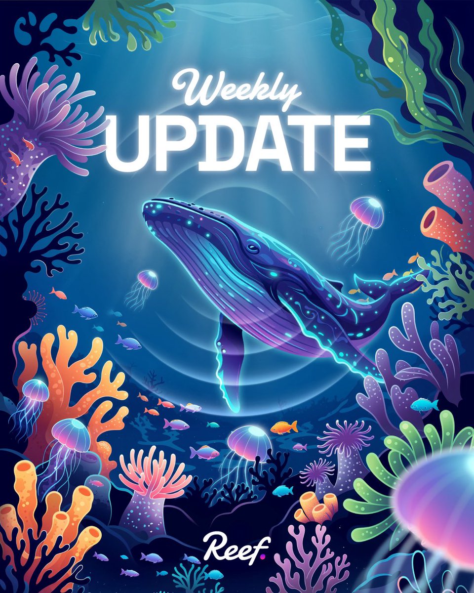 🐠 Reef tweet media