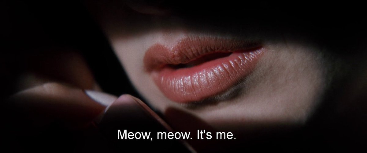 cinesthetic. (@thecinesthetic) on Twitter photo 