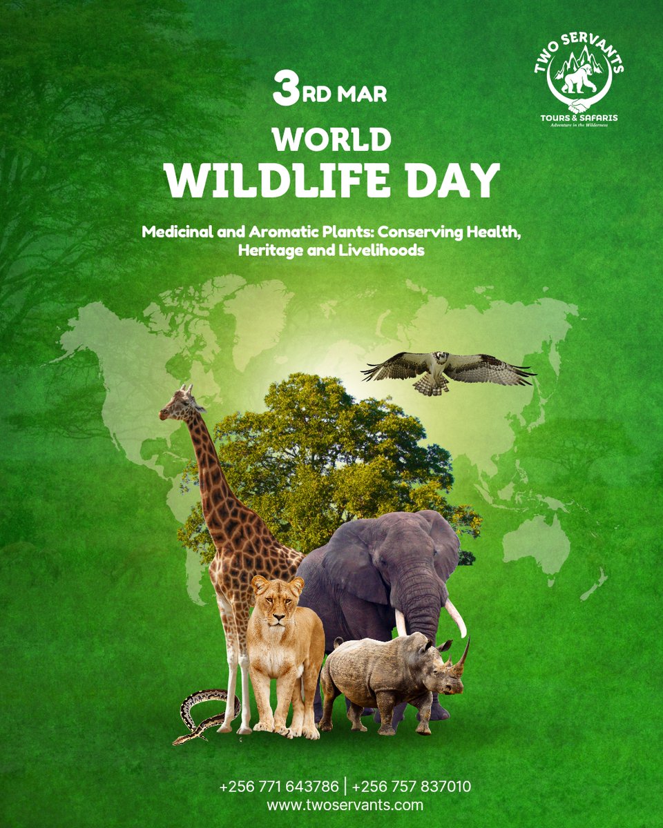 Two Servants Tours and Safaris tweet media