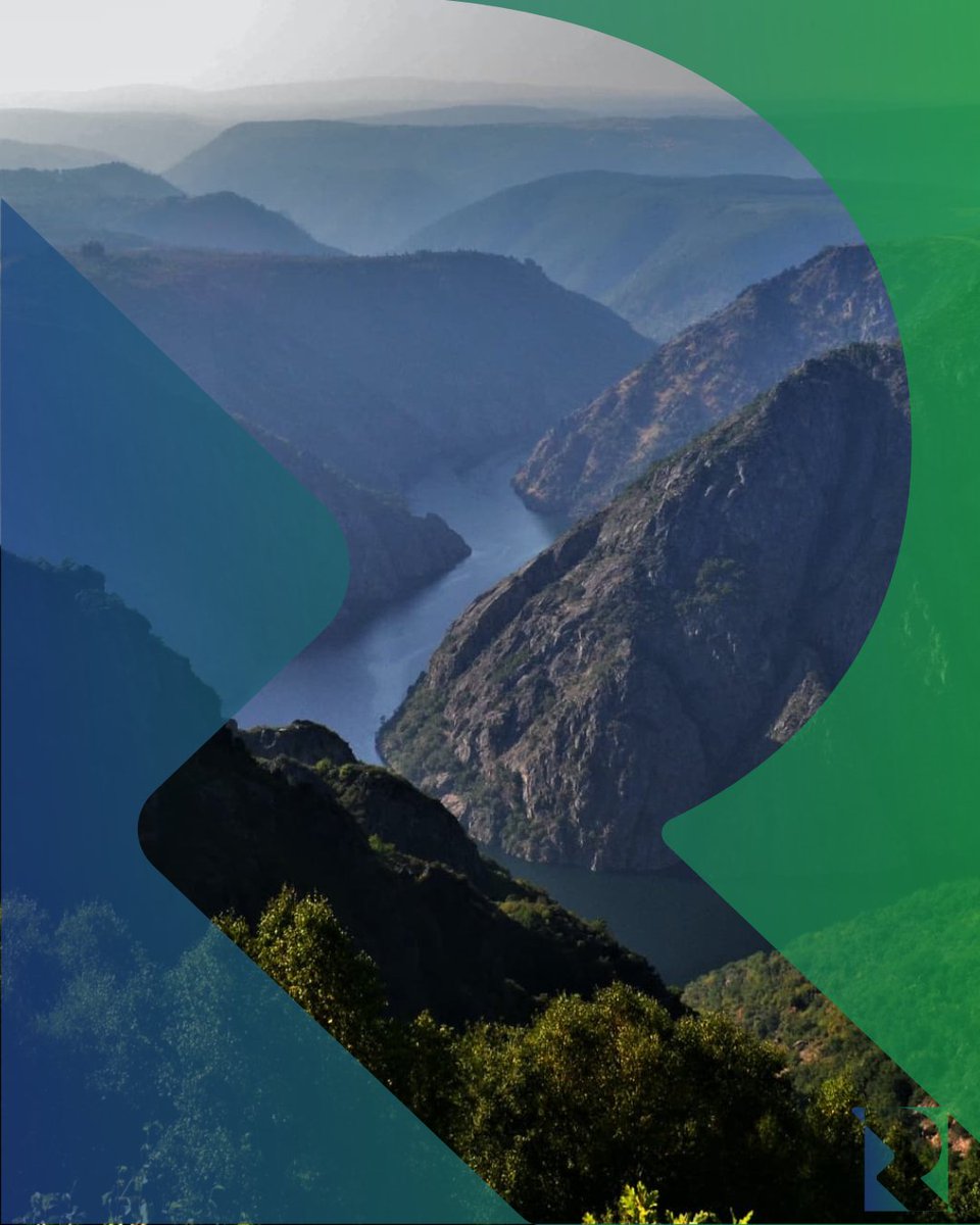 Risc_Plus tweet media