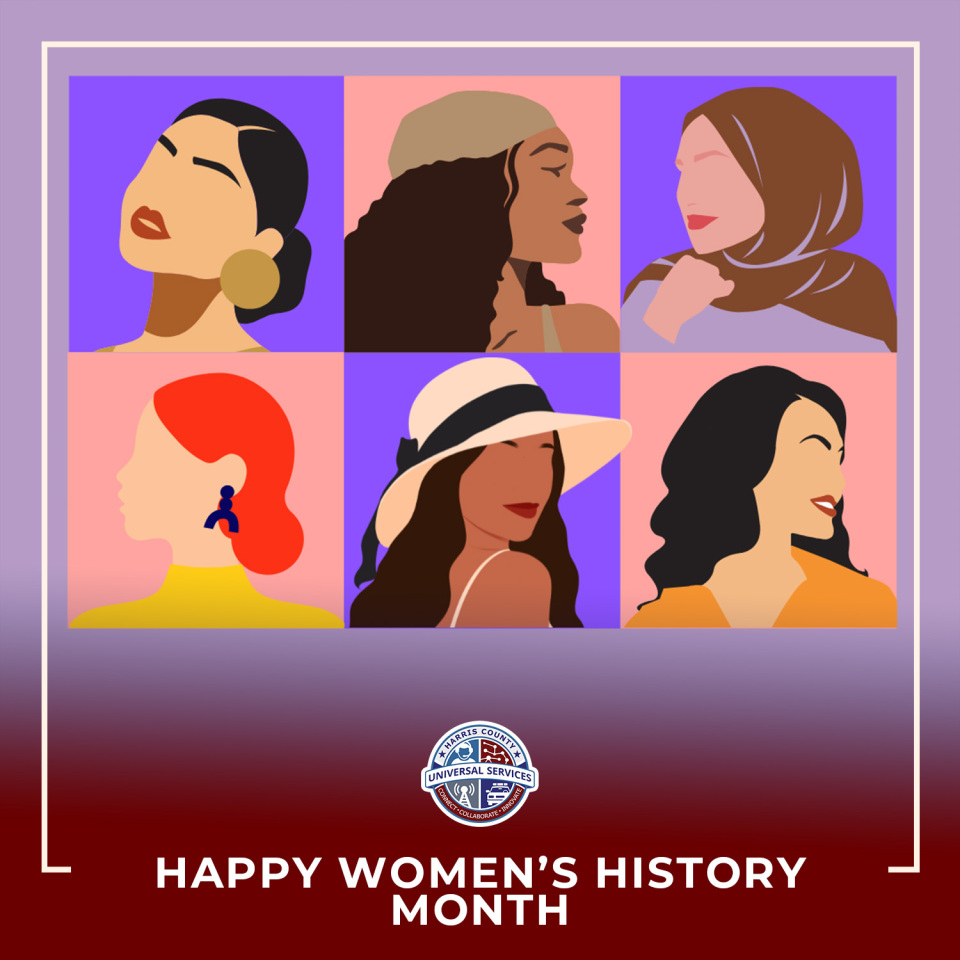 Harris County Universal Services tweet media