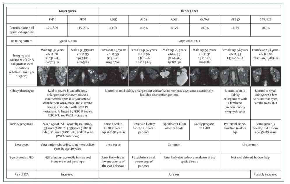Sol Carriazo, Neph. tweet media