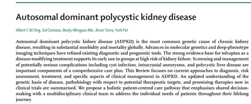 Sol Carriazo, Neph. tweet media