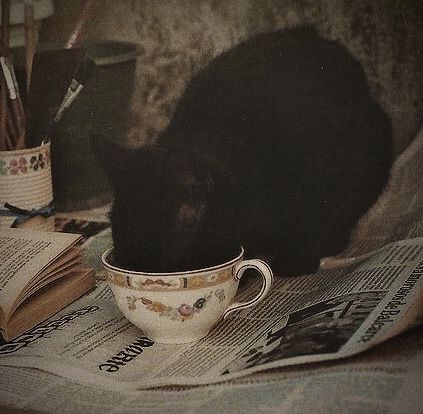 Lens of the world (@worldreamvibes) on Twitter photo 