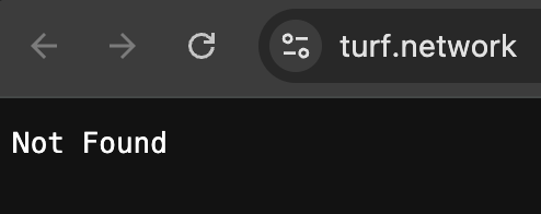Smitty.mambo🔺 tweet media