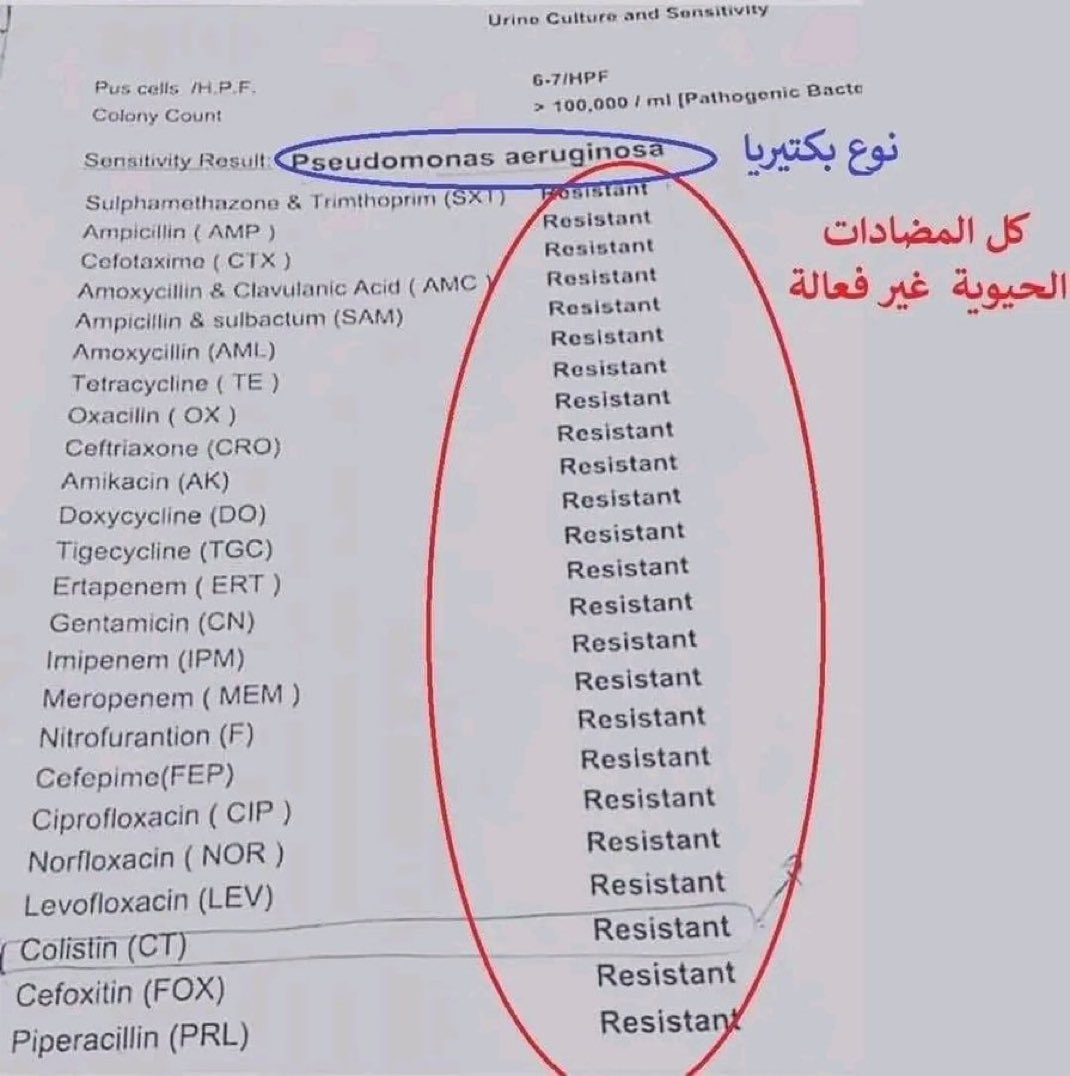 ارثر tweet media