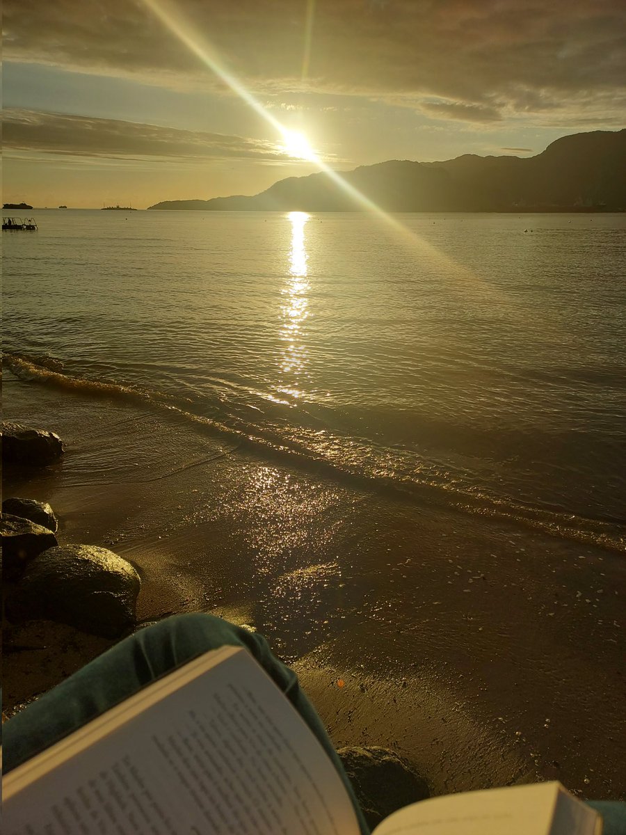 Larry - COMS CLOSED✨️ tweet media