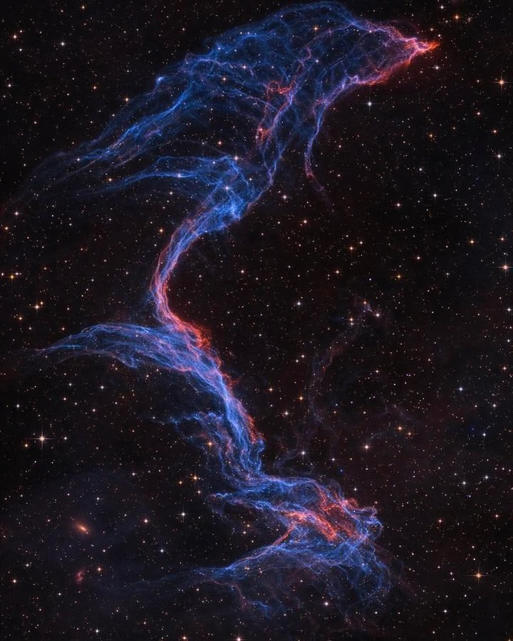 Black Hole tweet media