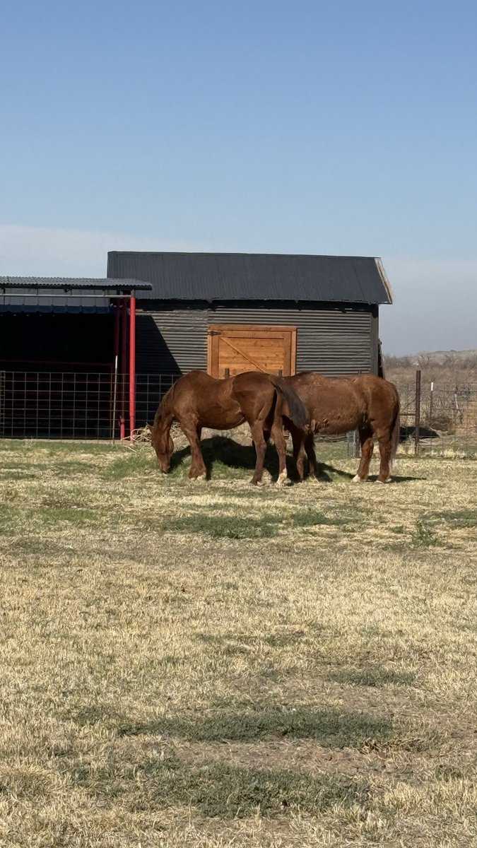 HawkDunlap's tweet photo. Decided to mow the grass this afternoon. https://t.co/GT1TIEo8NH