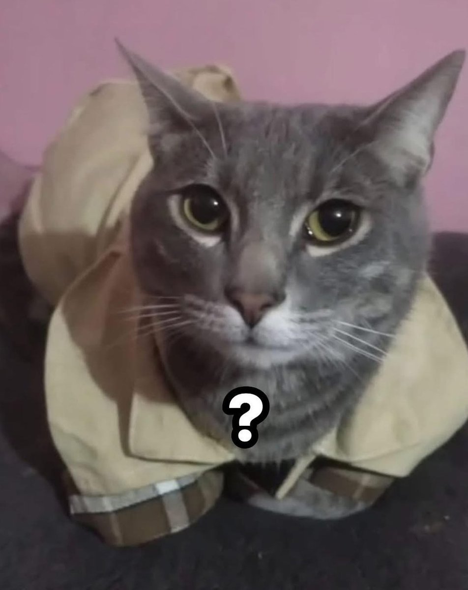 el jeringas tweet media