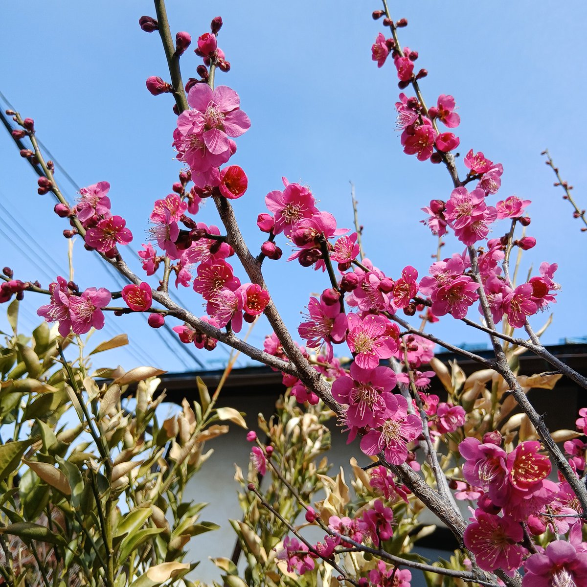 おはようございます☔

午後から雪になるかもしれない？

冬の雨は勘弁してほしい💦