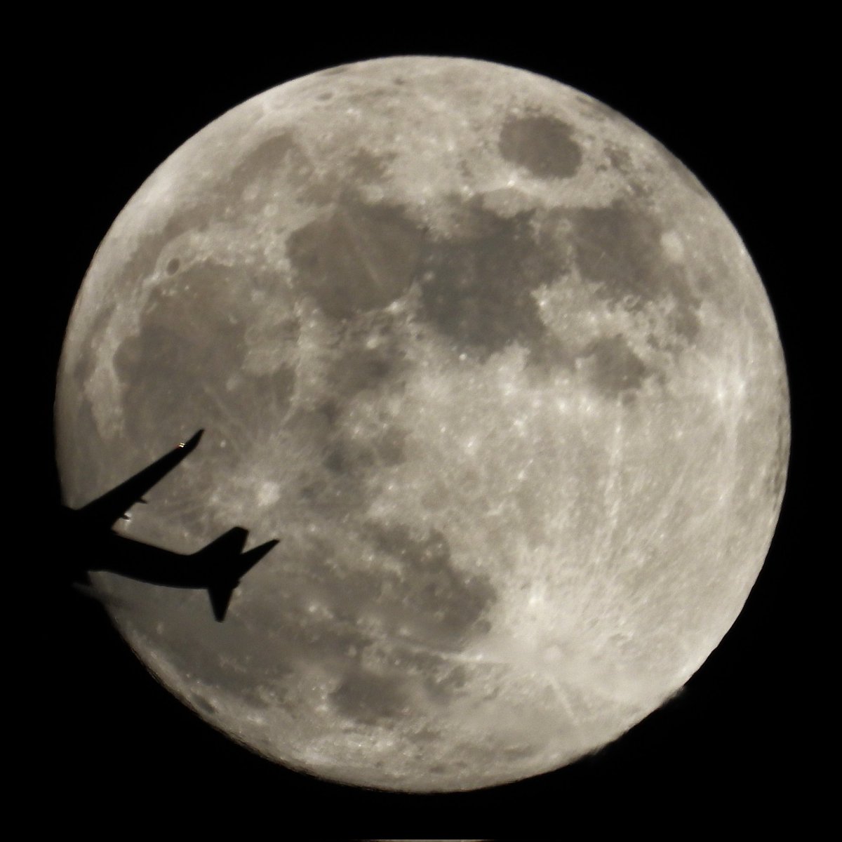 Epiphany tweet media