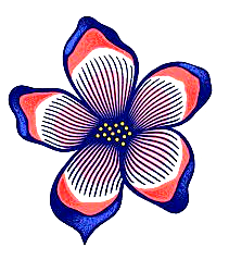 $developer Token tweet media