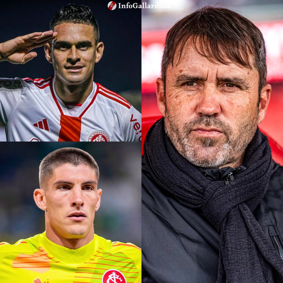 Info Gallardista tweet media