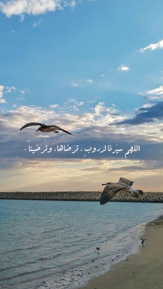 Sumaya Alharbi tweet media