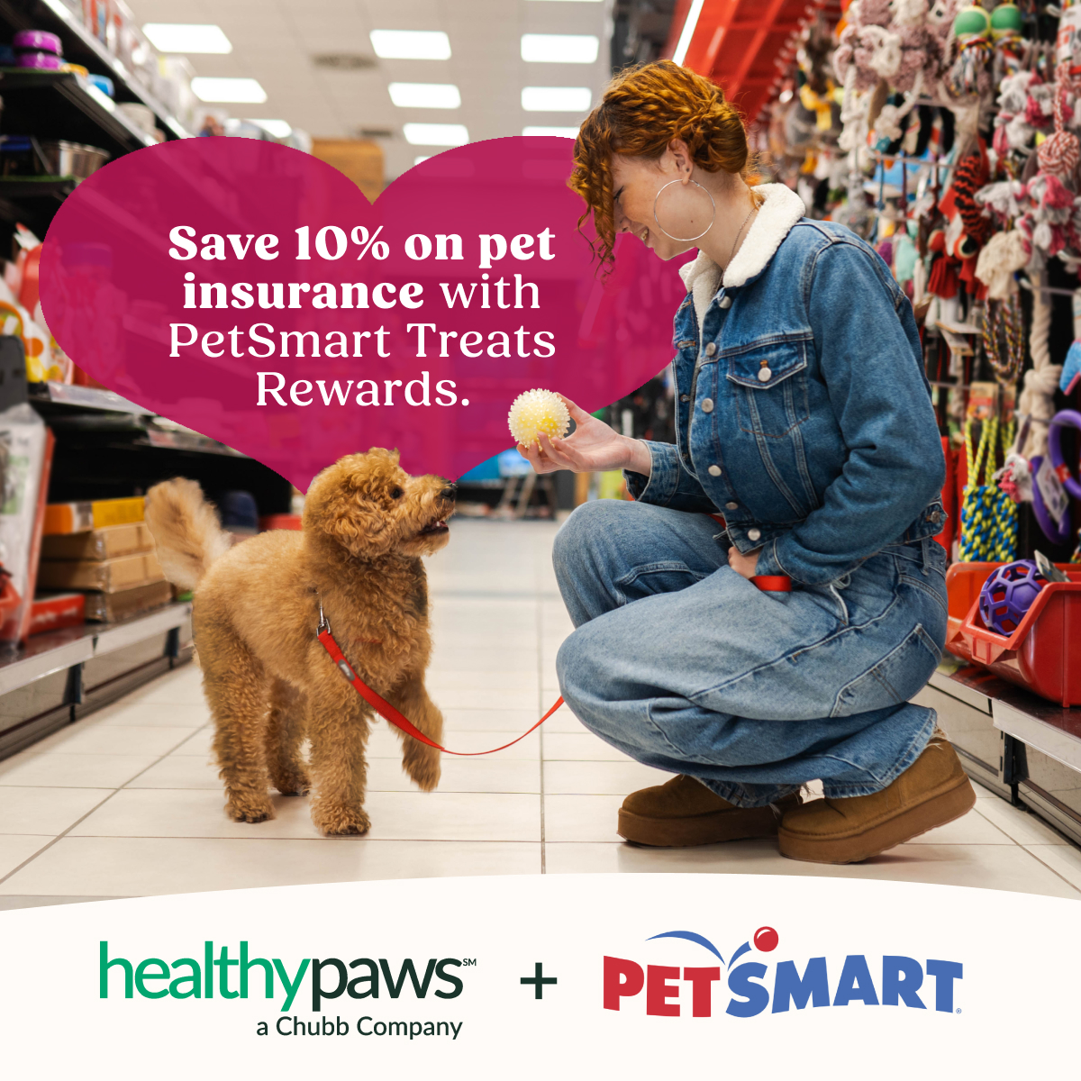 Healthy Paws, a Chubb Company tweet media