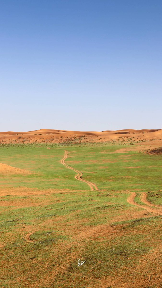 Saudi Live tweet media