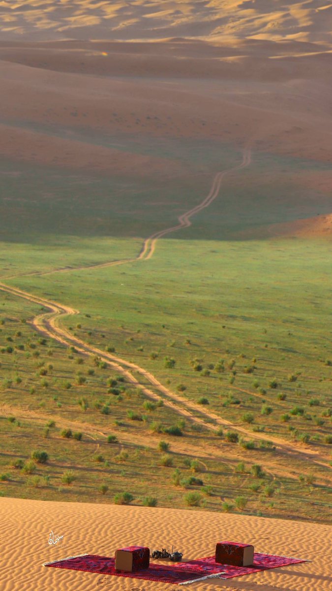 Saudi Live tweet media