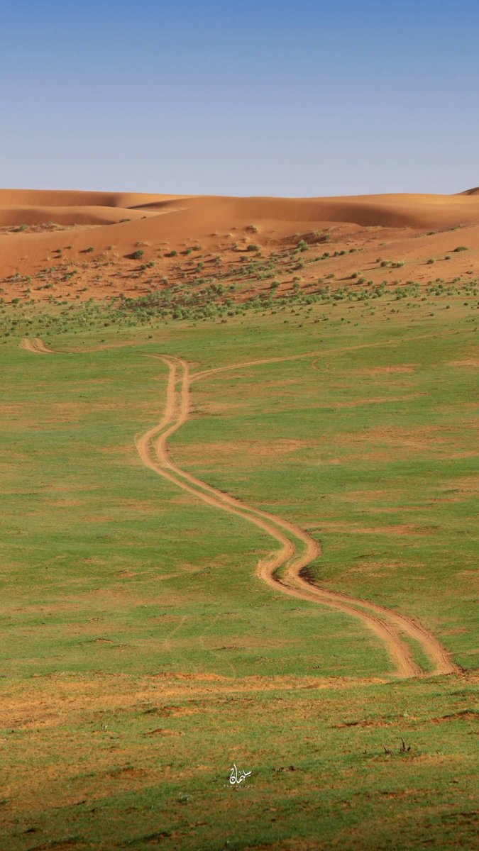 Saudi Live tweet media