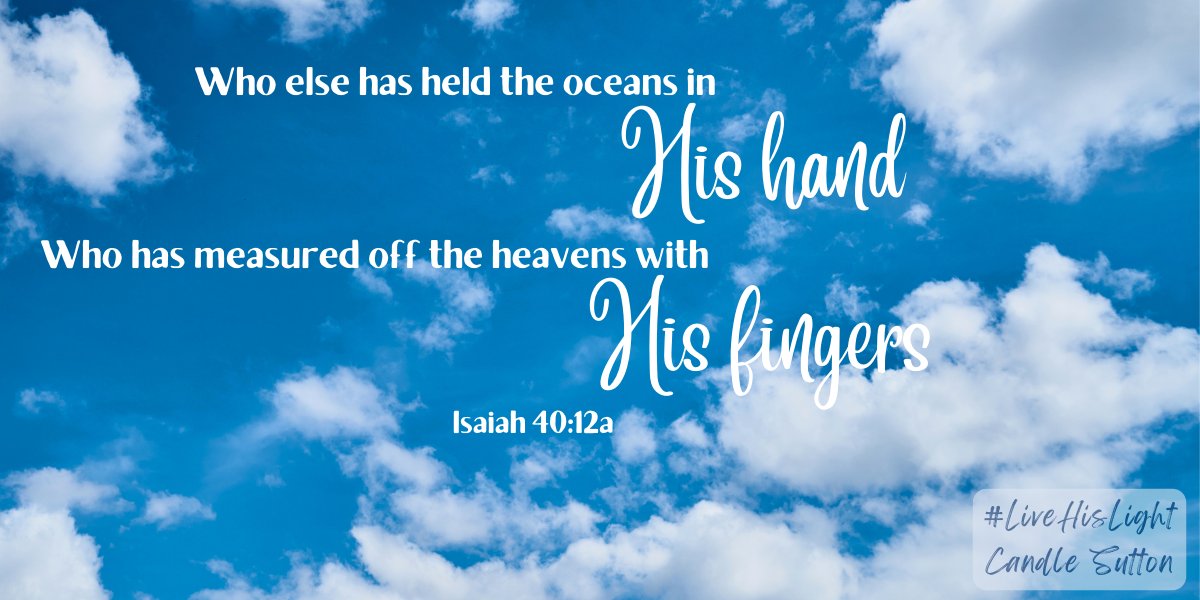 Candle Sutton tweet media