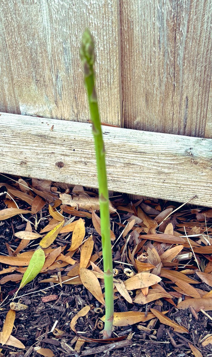 Michael Minor tweet media