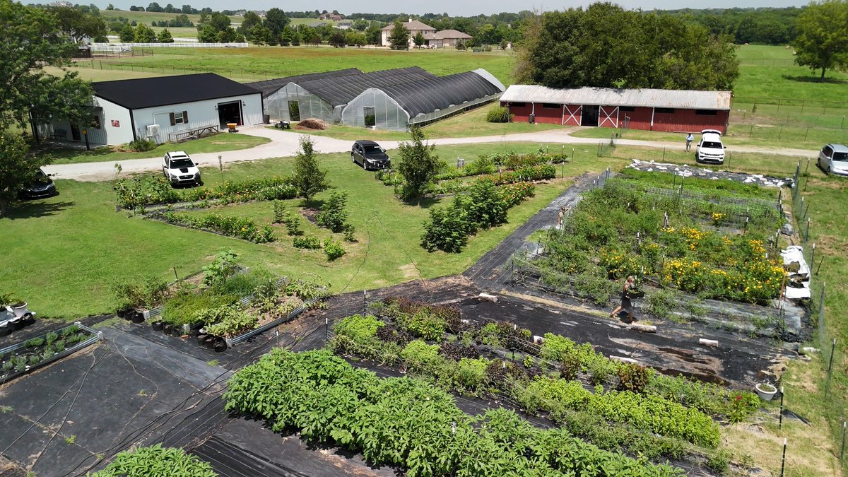 The Rockefeller Foundation tweet media