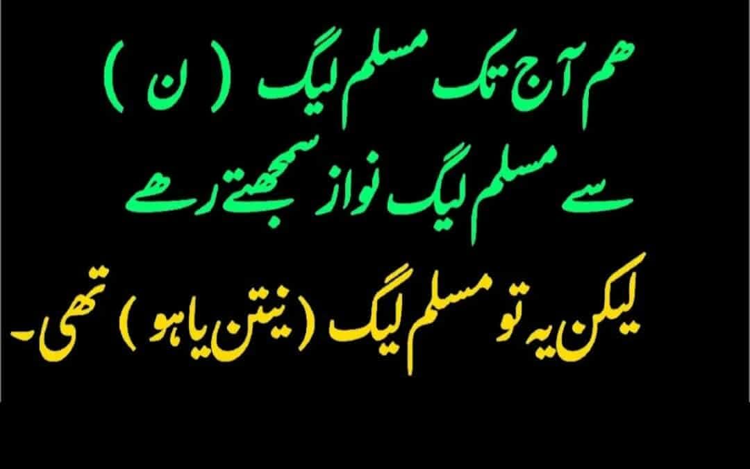 Elif Abe🇵🇰💫 tweet media