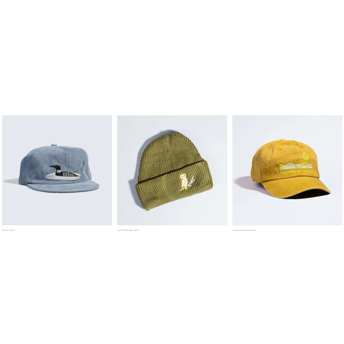 Addison County Economic Development Corporation tweet media