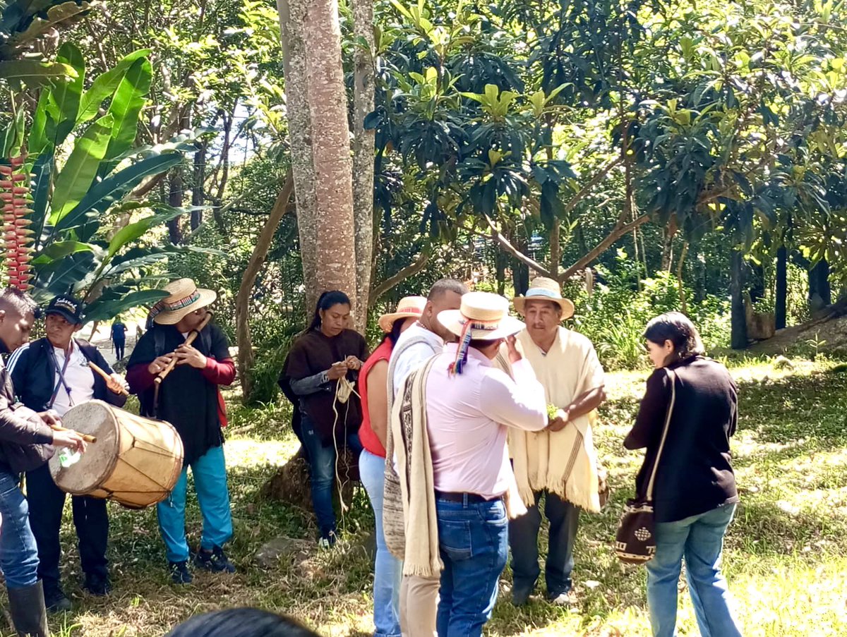 Ermes Pete Vivas tweet media