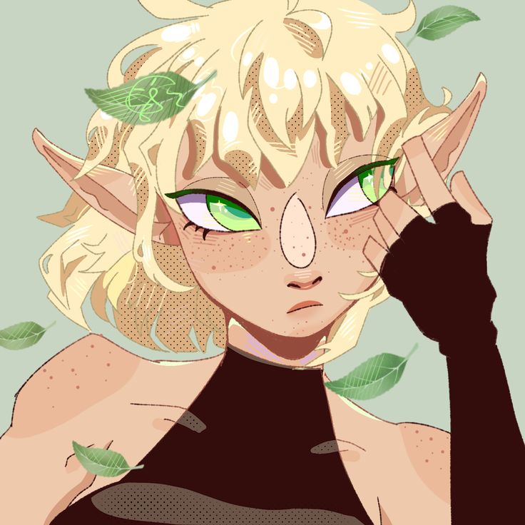 Daily Percedal tweet media