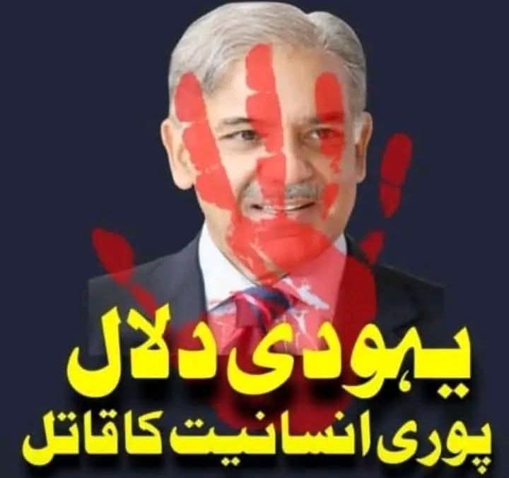 Elif Abe🇵🇰💫 tweet media