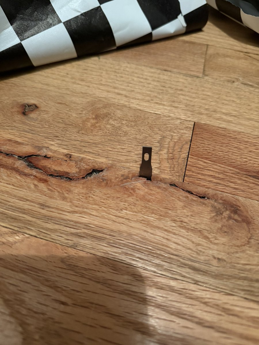 FREAMERINO's tweet photo. I guess I should be more careful LMAO https://t.co/TfoSXYBgNr