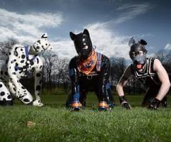Ludesroc17's tweet photo. @glenn_tunes Calm down dog lover https://t.co/JT7D2l58Iq