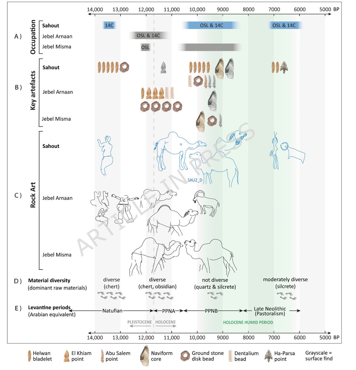 Michael Petraglia tweet media