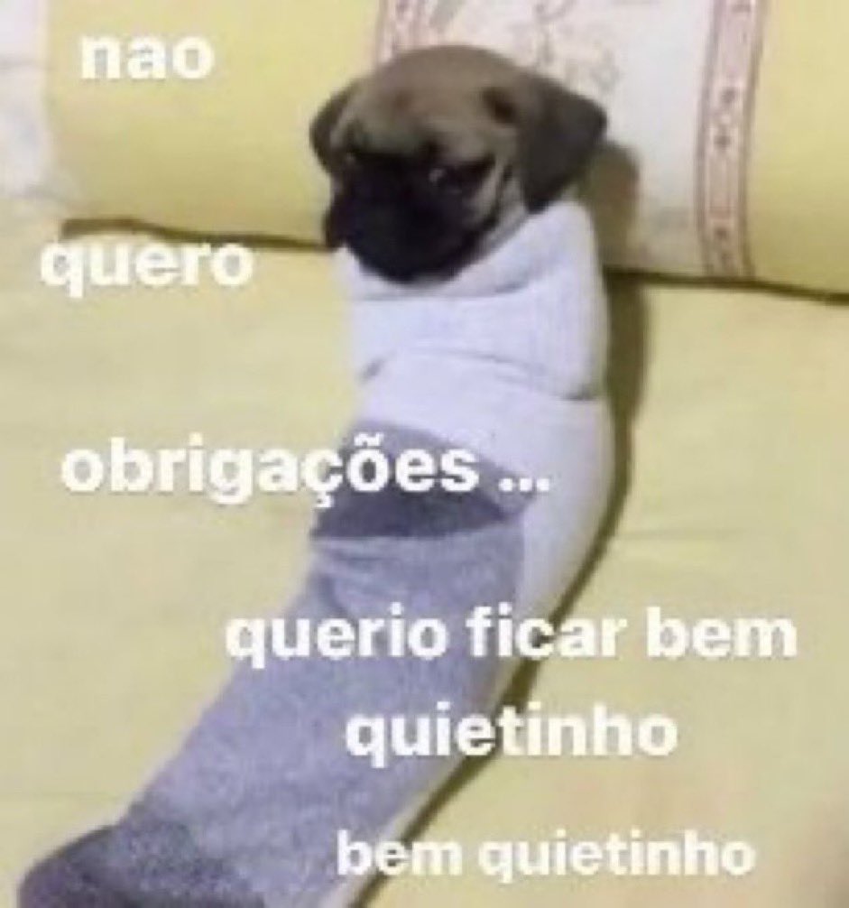sobreteucaos's tweet photo. https://t.co/MKEdG8EAEM