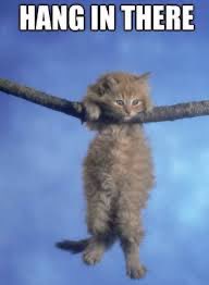 Van 🔜 FWA tweet media