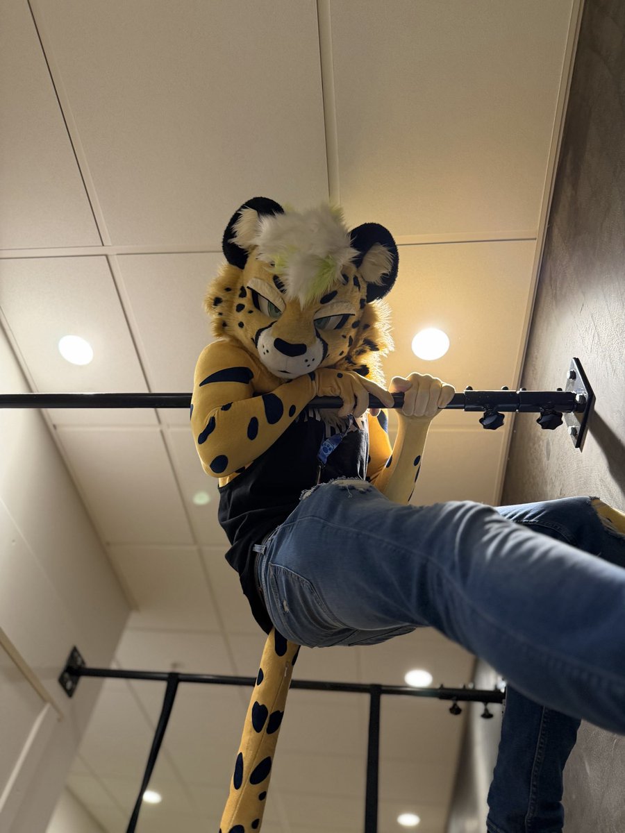 Van 🔜 FWA tweet media