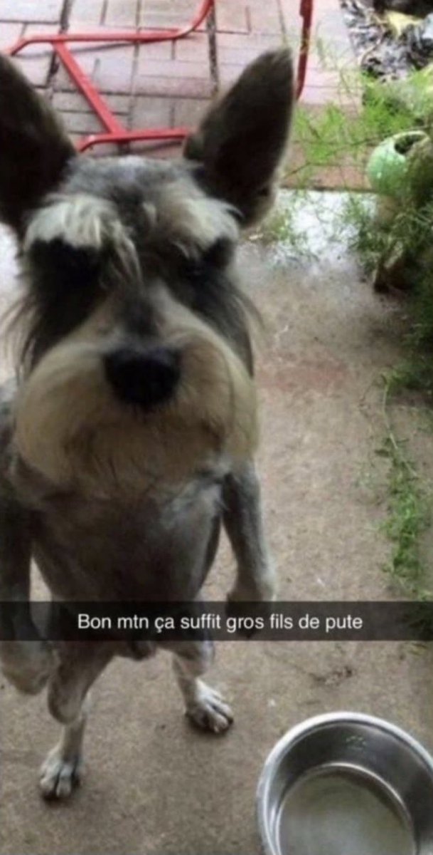 🔴 Tonton Artheon 🔴 tweet media