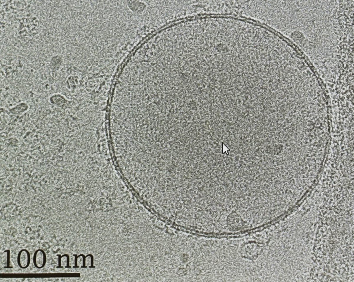 Anja Kunze, Ph.D. tweet media