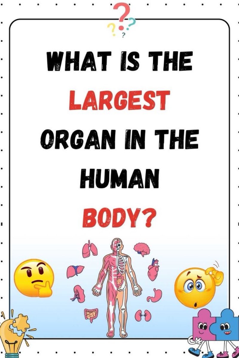 Honey 🛼 tweet media