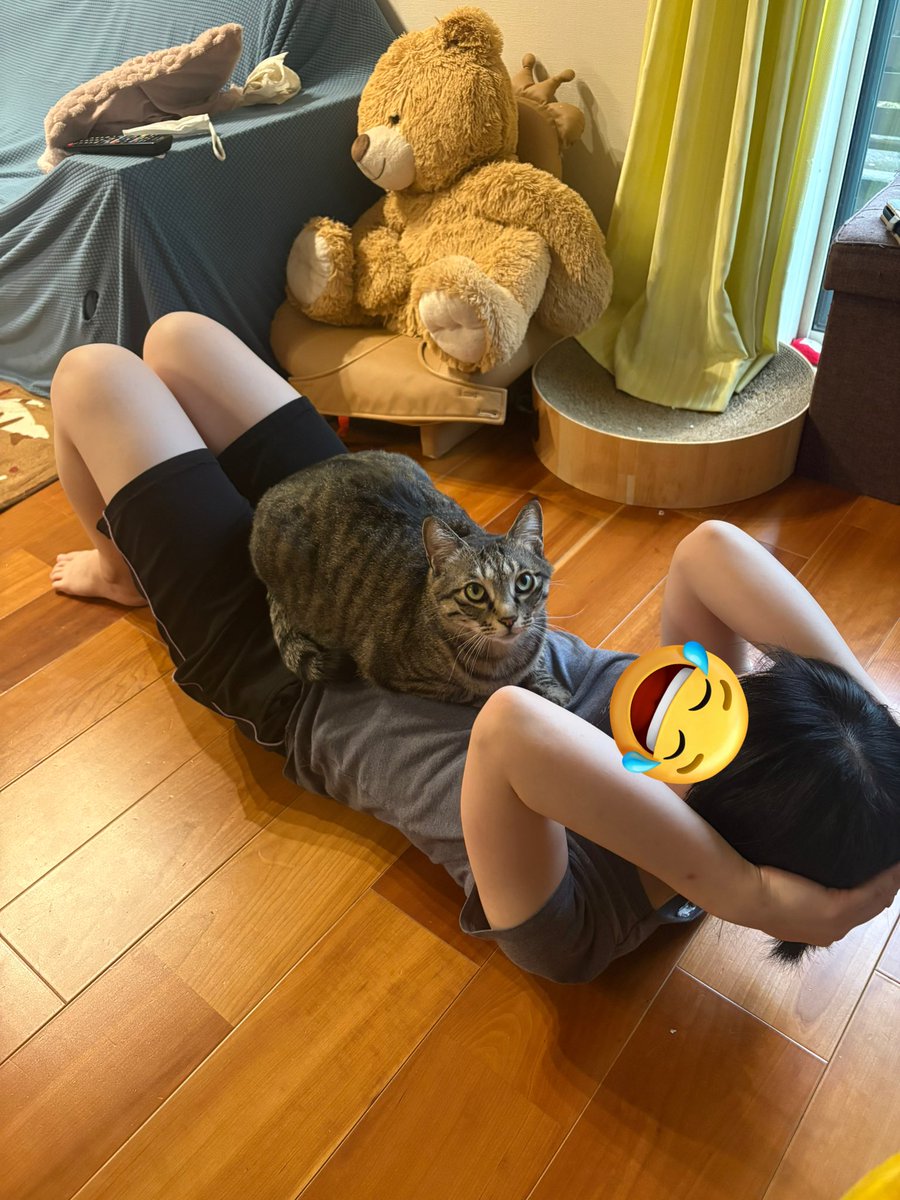 うちのはずっと見守ってくれる😂🐈