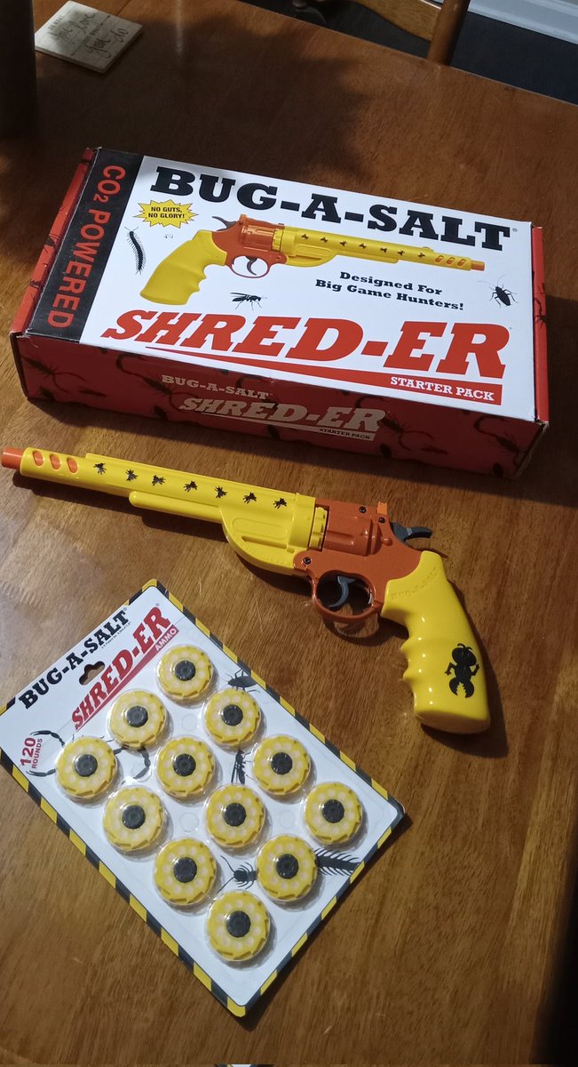 Santa brought this to Jonathan for Christmas, wrapped in "Ralphie" paper from "A Christmas Story." It was his BB gun...
He was SOOO excited and has been waiting patiently for two months to use it.
He finally got his chance last night.
That poor wasp never knew what hit it...