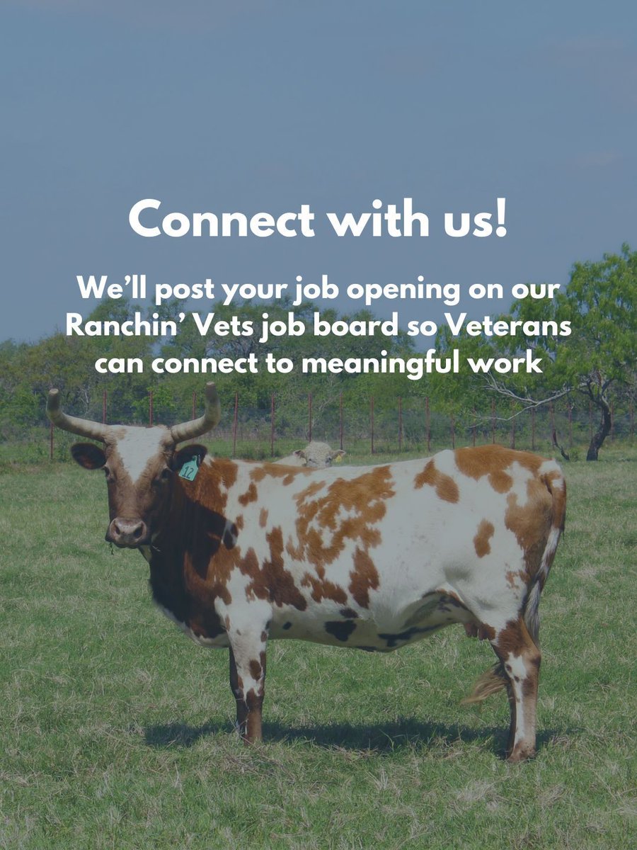 ranchinvets's tweet photo. Calling all ranchers &amp; agricultural employers

If you’re hiring in ag, submit your job opening to our Ranchin’ Vets Job Board at no cost. We’ll help you connect with qualified veterans ready to work &amp; serve in a new way. DM us or visit https://t.co/HhraMcBR8Z to learn more https://t.co/fgue8NpHuh