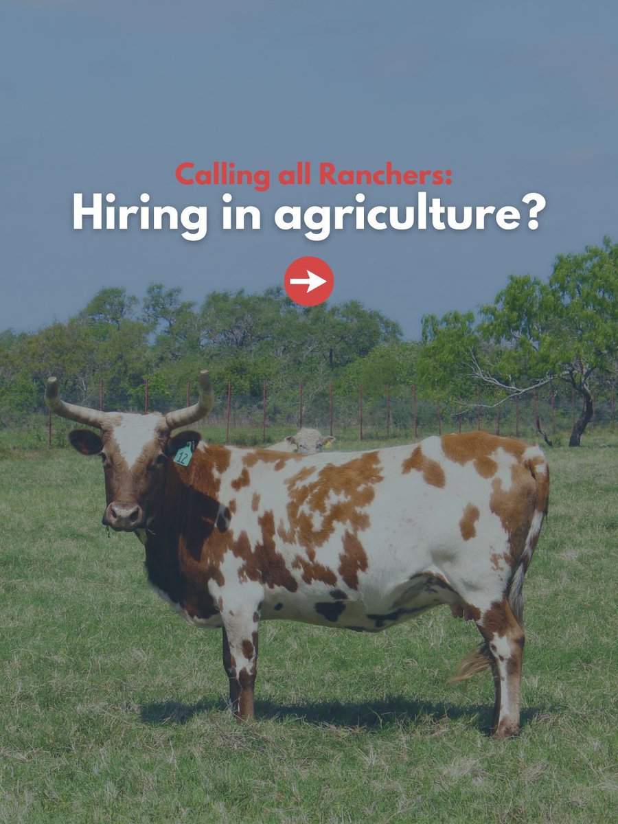 ranchinvets's tweet photo. Calling all ranchers &amp; agricultural employers

If you’re hiring in ag, submit your job opening to our Ranchin’ Vets Job Board at no cost. We’ll help you connect with qualified veterans ready to work &amp; serve in a new way. DM us or visit https://t.co/HhraMcBR8Z to learn more https://t.co/fgue8NpHuh